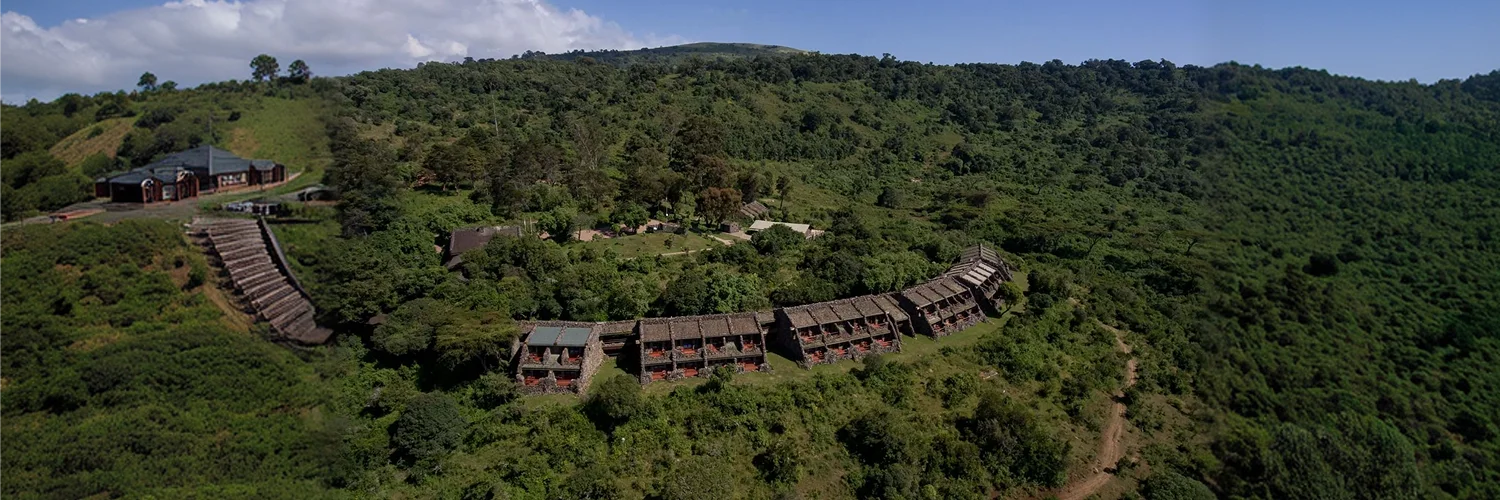 serenangorongoro-236 1.webp